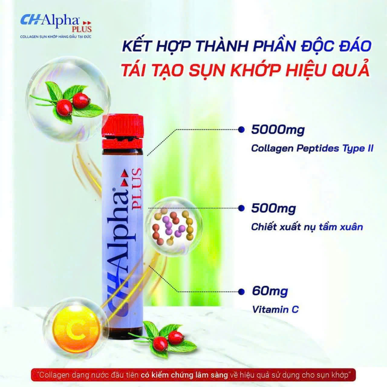 Thực phẩm bảo vệ sức khỏe CHAlpha Plus- Collagen CH Alpha Plus Dạng Nước Hỗ Trợ Xương Khớp 25mlx30pcs 4 Thực Phẩm Bảo Vệ Sức Khỏe CHAlpha Plus Collagen CH Alpha Plus Dạng Nước Hỗ Trợ Xương Khớp 25mlx30pcs (4)
