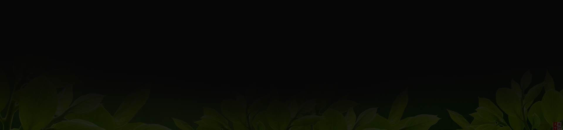 Footer Bg